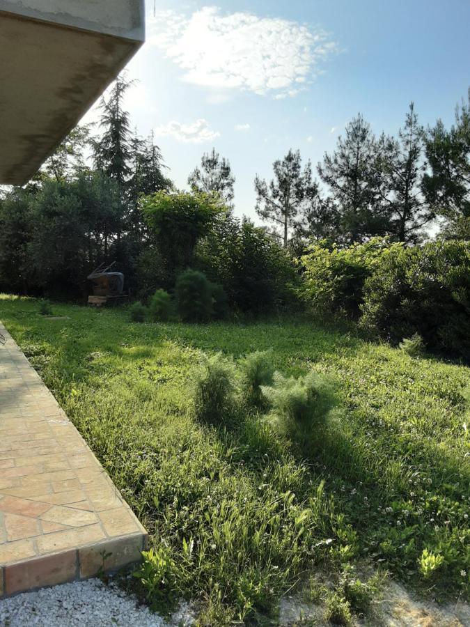 Fonte La Perna Villa Polverigi Exterior photo