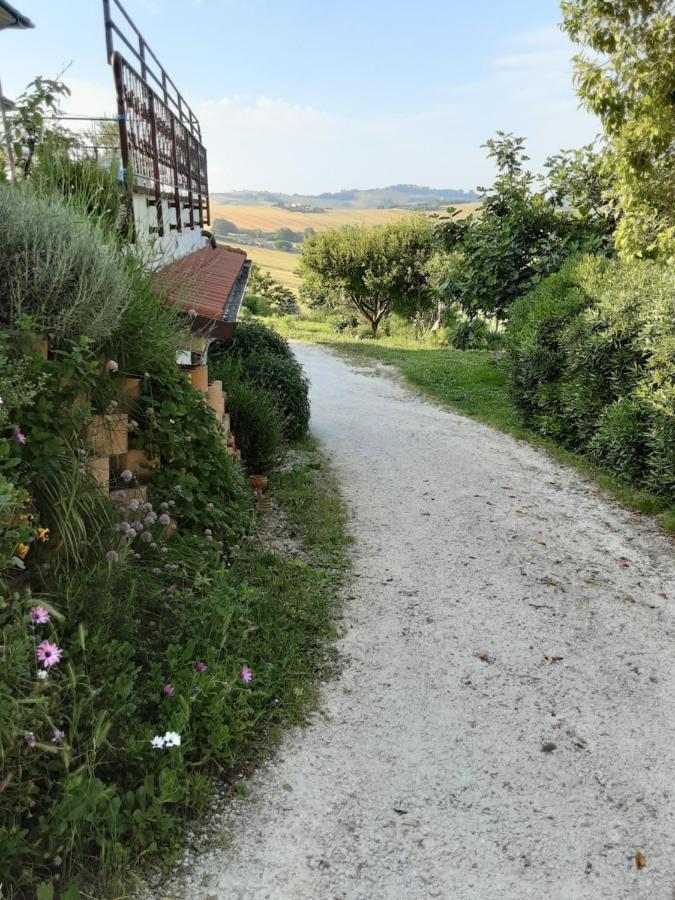 Fonte La Perna Villa Polverigi Exterior photo
